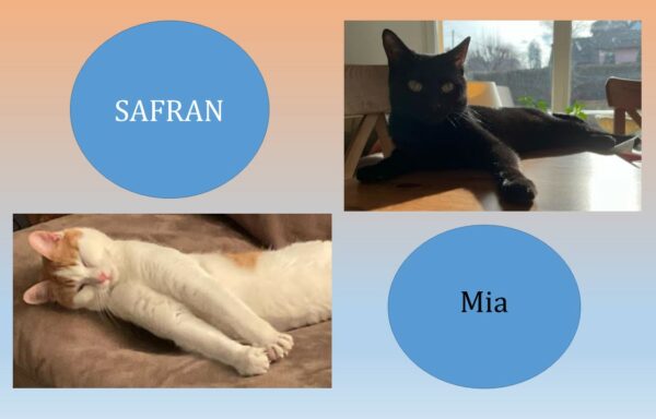 Mia et Safran