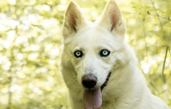 Olympe