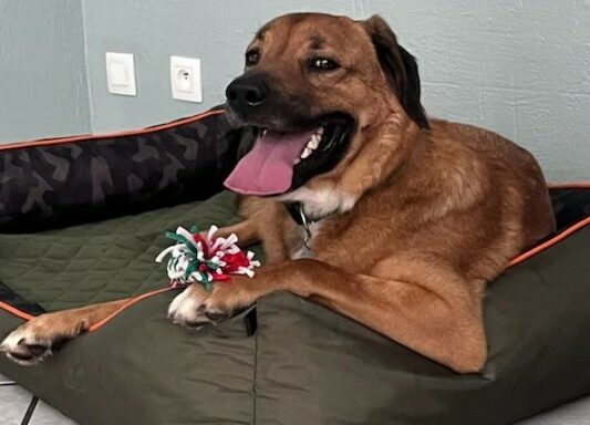 Thor
