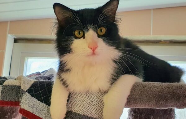 Denver – Réservé